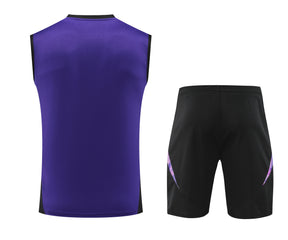 Conjunto Regata Seleção Alemanha 2024/25 Treino - Modelo Torcedor