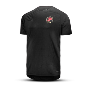 Camisa do Aston Villa “ 50th Anniversary x Game of Thrones” 2025