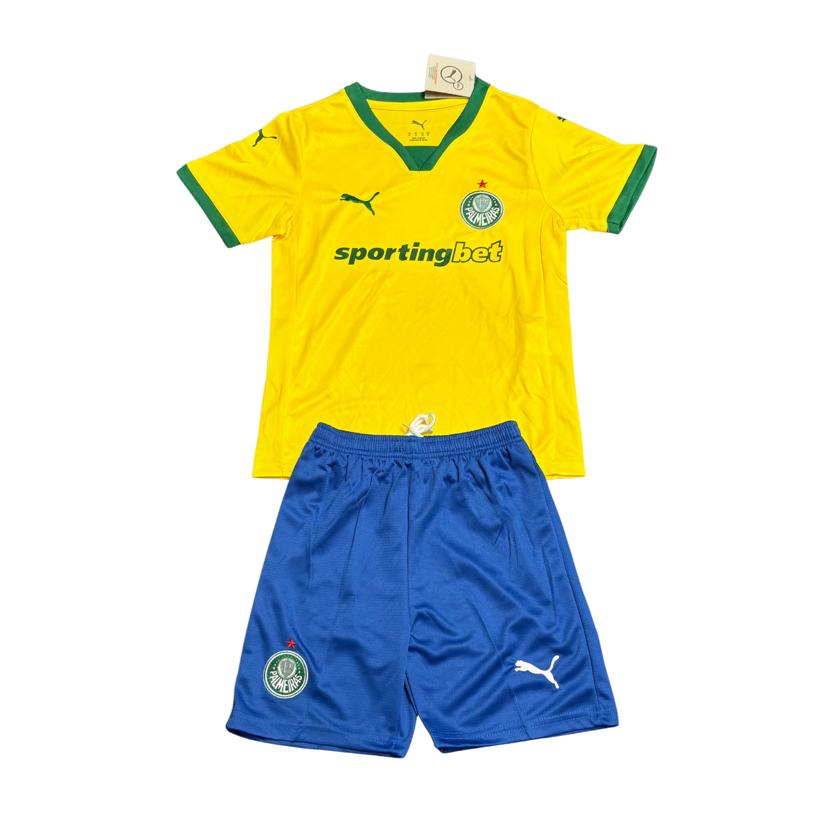 Conjunto Infantil Puma Palmeiras 2025/26